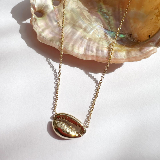 Baby 14k Cowrie necklace
