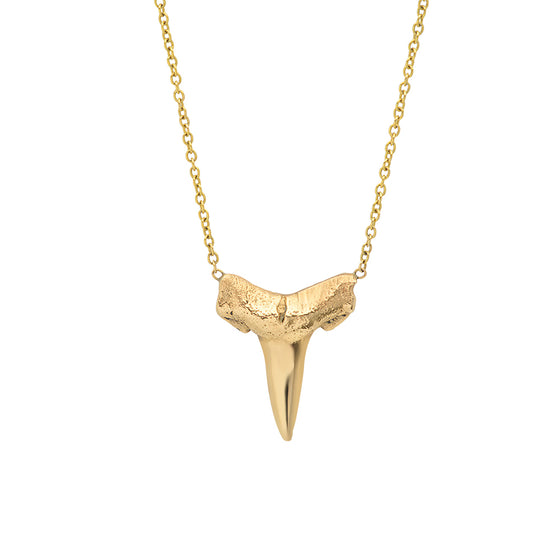 14 Karat Gold Shark Tooth Necklace 
