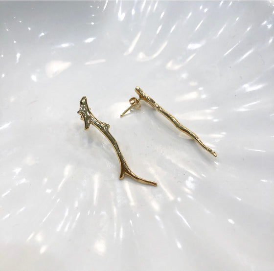Coral branch 14k earrings